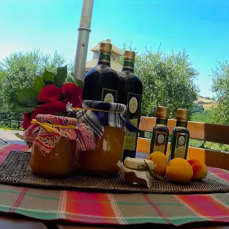 Holiday home Charming Tradition Farmhouse In Umbria