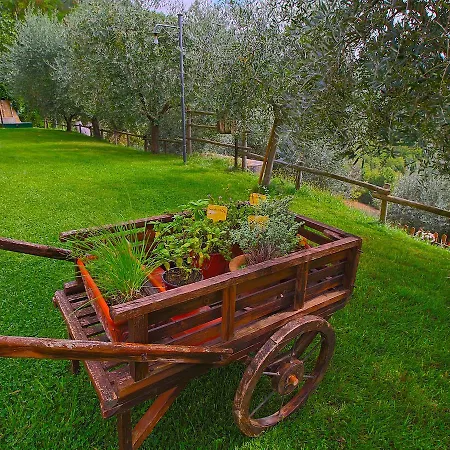 Charming Tradition Farmhouse In Umbria *